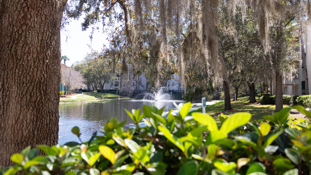 a pond with a fountain in the middle of it